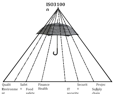 ISO31000 umbrella